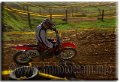 338 - Paolo Paravano - GLEN HELEN 1